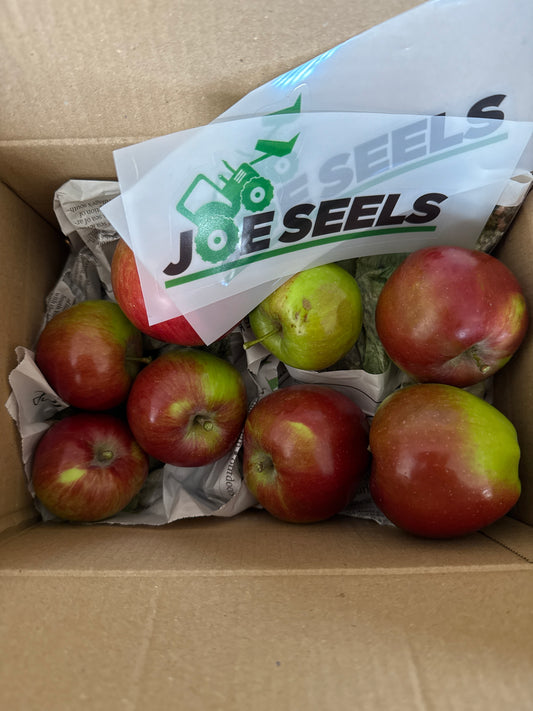 Joe Seels Stickers… with free apples!